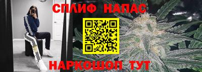 трава Кунгур