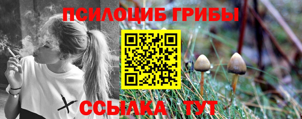 Галлюциногенные грибы Cubensis  Вход с VPN  Долгопрудный  Псилоцибиновые грибы MAGIC MUSHROOMS 